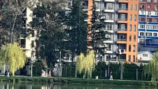 1-комнатная квартира. Посуточная аренда