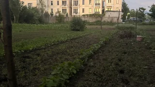 Участок у моря