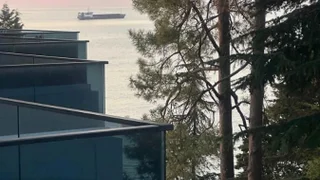 1+1 на Mziuri Gardens поселок Тамар 14 Tamar Settlement
