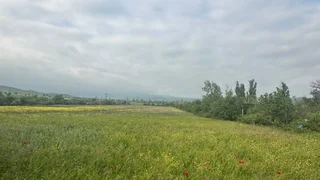 Land For Sale. Lilo