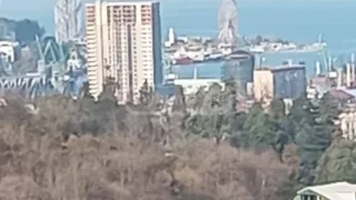 Сельскохозяйственный участок в районе Старого Батуми