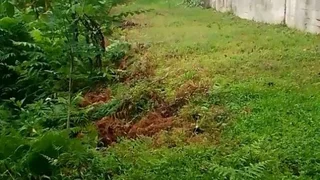 Земельный участок