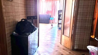 Коммерческое помещение на Mitskevichi St Saburtalo