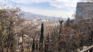 3-комнатная квартира в Тбилиси