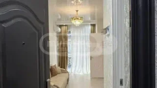 1+1 на Sh. Rustaveli Ave. Rustaveli District