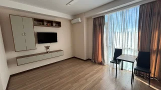 1-комнатная квартира в Дидубе, $600