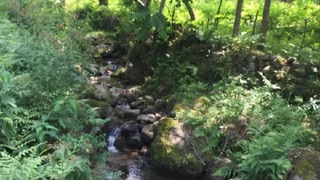 Земельный участок 3000 м² с родниками, Ортабатуми