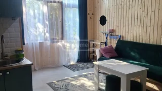 1-комнатный частный дом в районе Агмашенебели