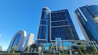 Billionaire. Dar Tower