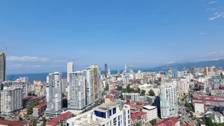 1+1 на შერიფ ხიმშიაშვილის გამზირი 16 Khimshiashvili District