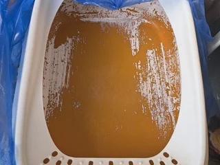 Кошачий лоток