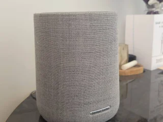 Google assistant