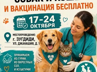 Золотистый ретривер