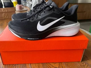 Nike Pegasus 42.
