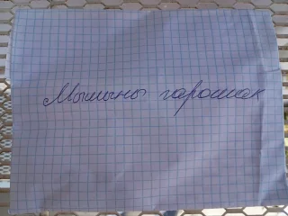 Семена мышиного горошка