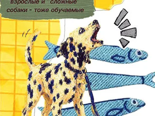 Онлайн-курс по воспитанию и дрессировке собак