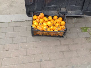 Апельсин