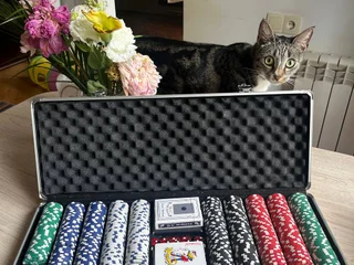 Набор Texas Hold’em Casino Style, 200 фишек
