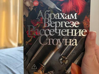 Рассечение Стоуна. роман