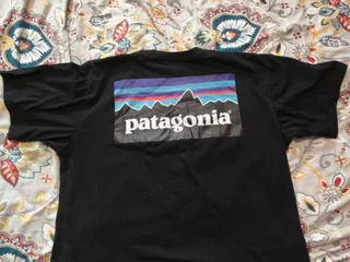Футболка Patagonia