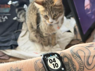 Apple Watch 
