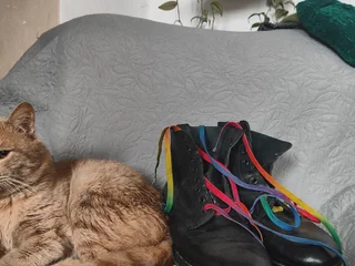 🌈 ботинки dr. martens с радужными строчкой и шнурками из лимитированной коллекции.