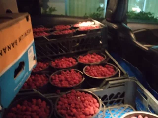 Малина