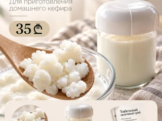 Тибетский молочный гриб 50 г с баночкой