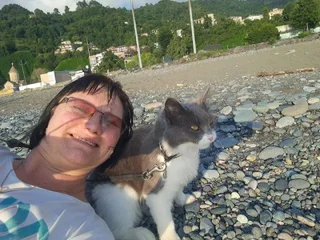 Сибирская кошка