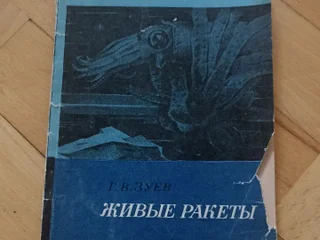 Живые ракеты