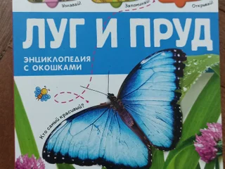 Детские игрушки и принадлежности