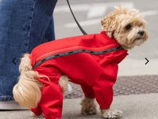 Зимний комбинезон Canada Pooch, размер 14, красный