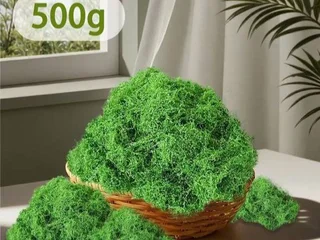 Декоративный мох