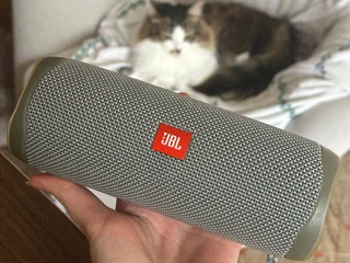 Беспроводная колонка JBL Flip 5