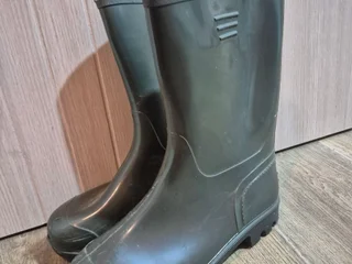 Сапоги