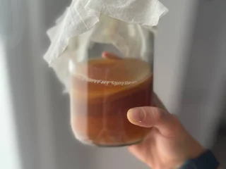 Чайный гриб