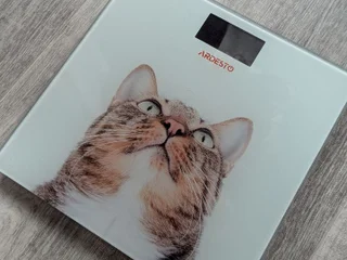 Напольные весы