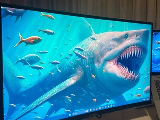 JAMES DONKEY CURVED RION R10 24” 165HZ