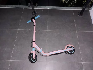 Электрический самокат Ninebot Kids ZING E8