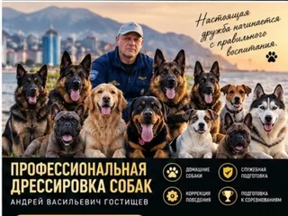 Профессиональная дрессировка собак