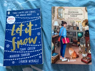 Книга Дневник из антикварной лавки