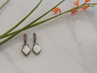 Серебрянные