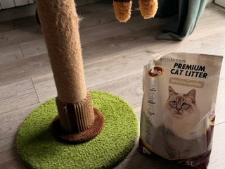 Кошачий набор