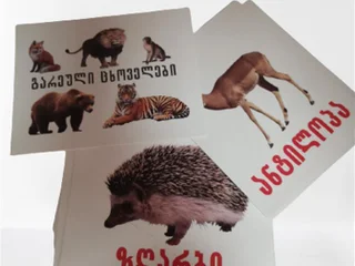 Обучающие карточки