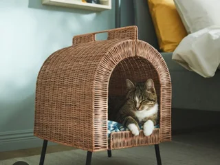 Кошачий домик из ротанга с матрасиком