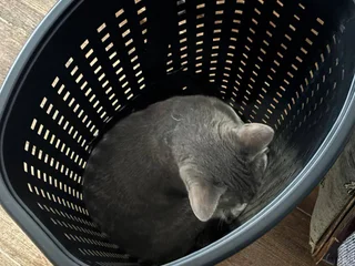 Корзина для белья
