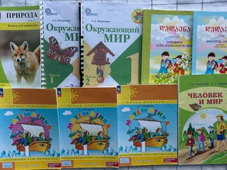 Тетрадь и учебник для изучающих родной язык Гогебашвили
