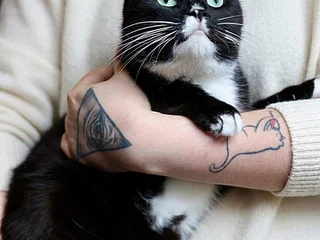 Кошка Юми