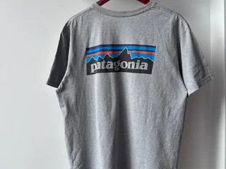 Футболка **Patagonia**