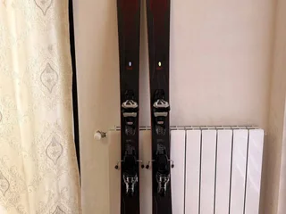 Лыжи горные